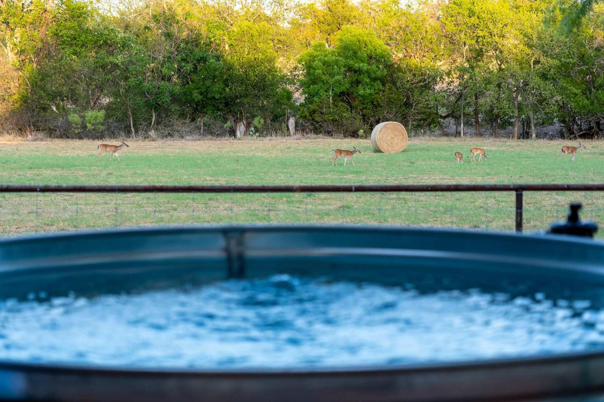 Container Haus Pet Friendly With Cowboy Pool * Fredericksburg